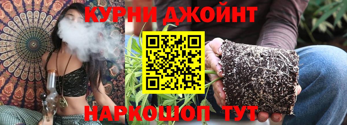 Каннабис план  Вход с VPN  Дивногорск  Бошки Шишки Bruce Banner  Конопля THC 21% 